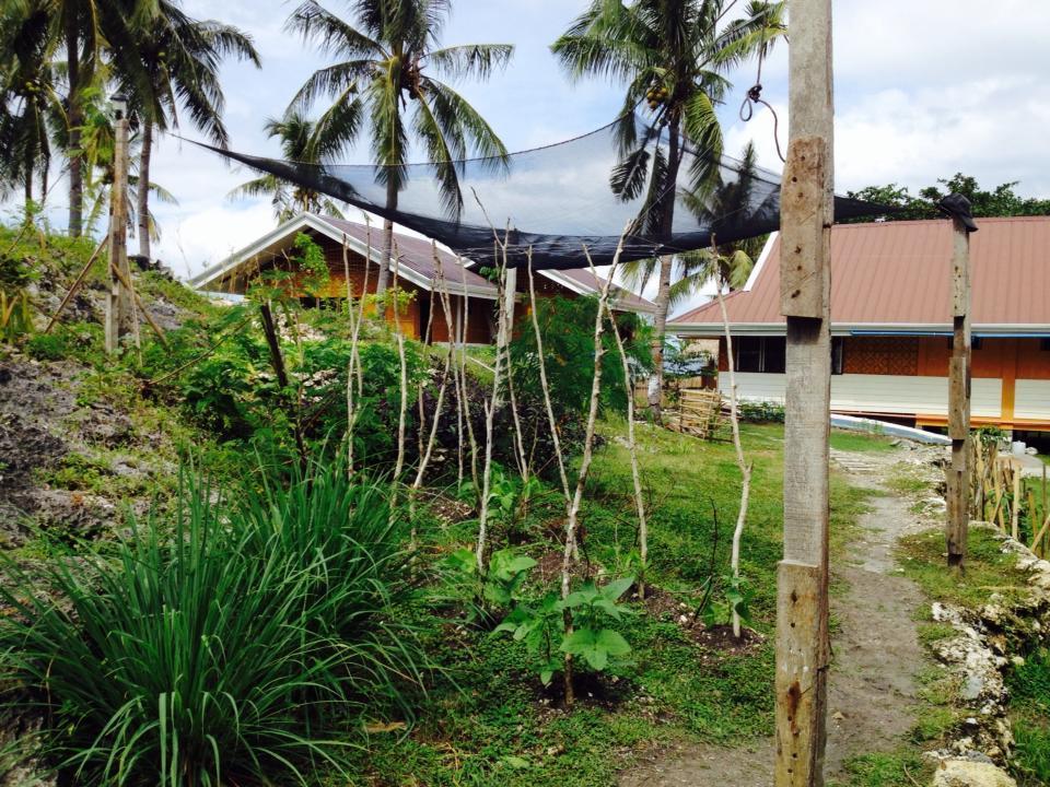 Liwayway Sa Bohol Pamilacan Resort Baclayon Phòng bức ảnh